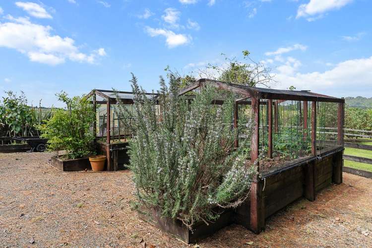 161 Clements Road Matapouri_29