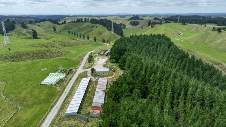 248 Lichenstein Road Okere Falls_16