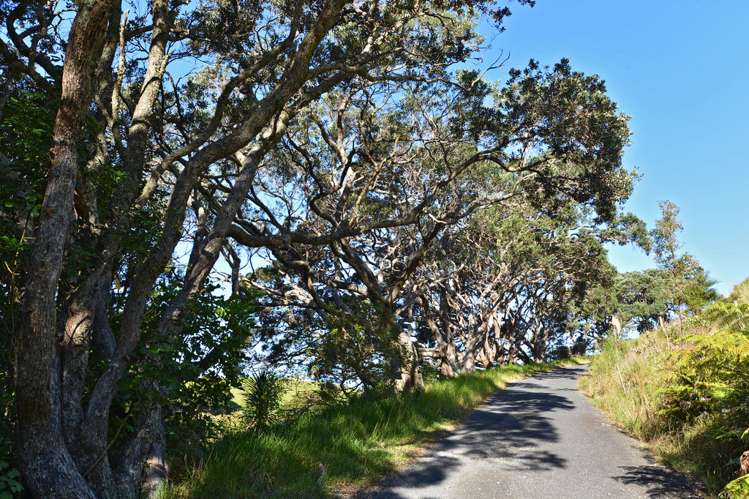 48 Waipouri Lane (Pvt) Tutukaka_1