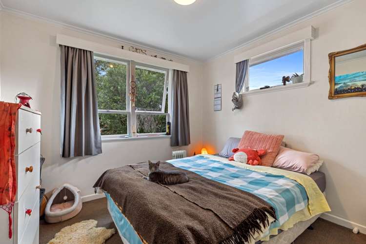 16 Pomaria Road Henderson_5