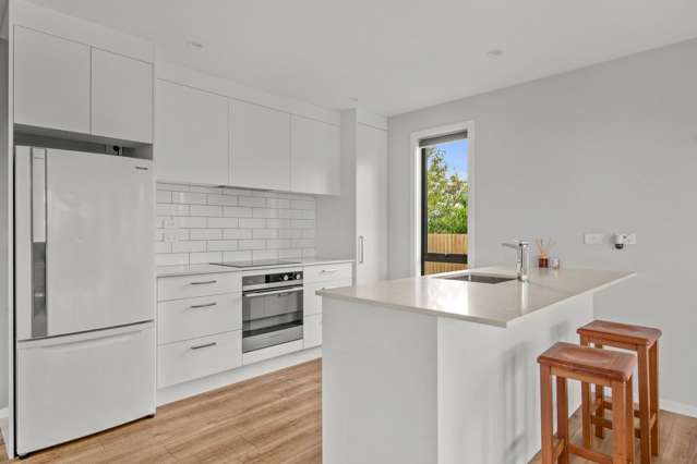 34a Killarney Street Alexandra_2
