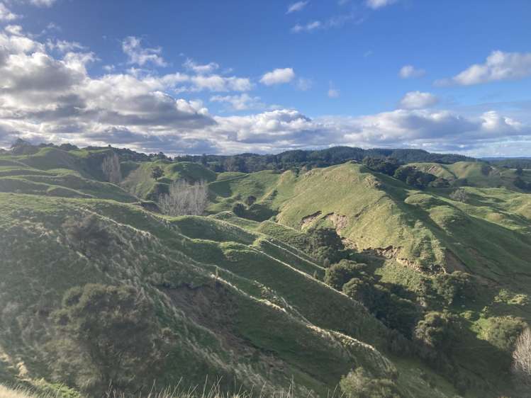 2829 Puketitiri Road Patoka_20