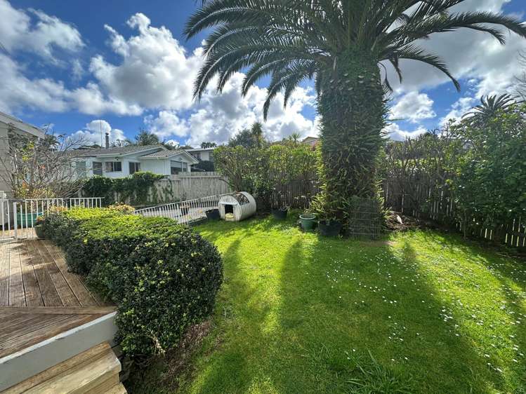 35 Cyclarama Crescent Massey_12