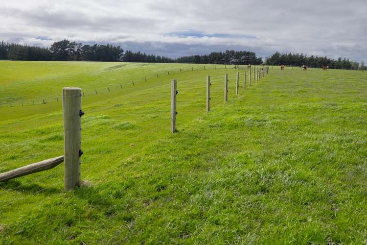 234 Sandon Road Feilding_7