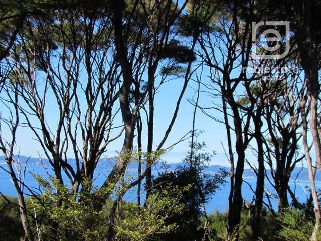 537B Tuateawa Road Tuateawa_1