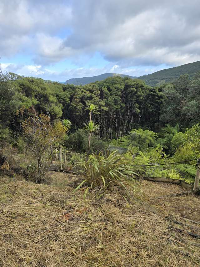 41a Blackwell Drive Great Barrier Island (Aotea Island)_4