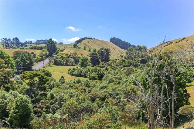 118 Pinnacle Hill Road Mangatawhiri_2