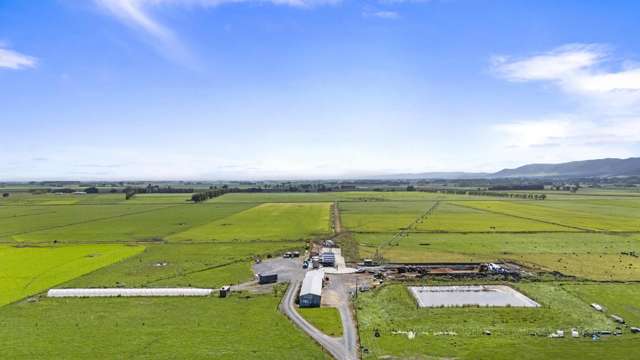 145 Campbells Road Opiki_1