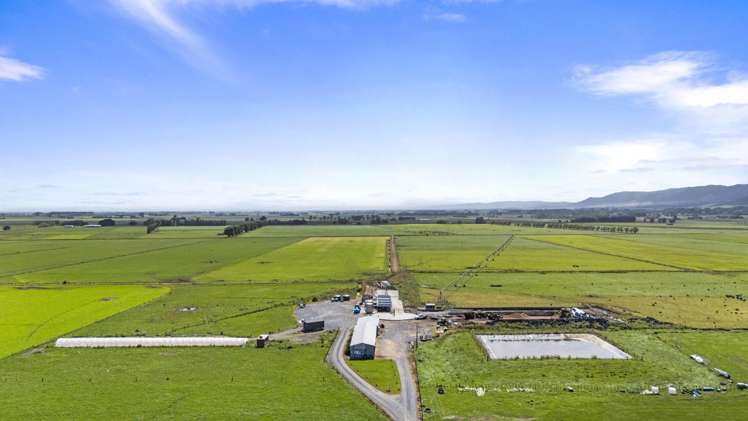 145 Campbells Road Opiki_1