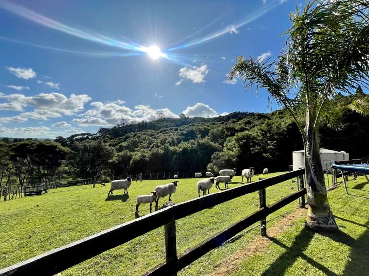 537a State Highway 2 Mangatawhiri_5