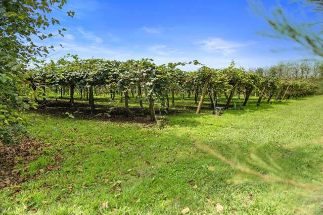 73 Orchard Road Edgecumbe_3