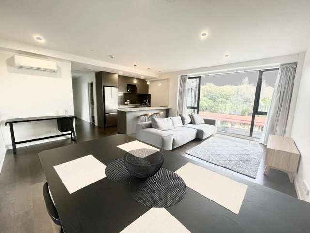 304/13 Cheshire Street Parnell_1