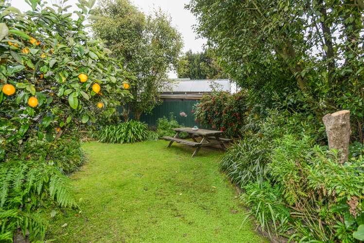 706a Seddon Street Raureka_18