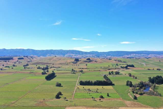 1085 Oroua Valley Road Apiti_1
