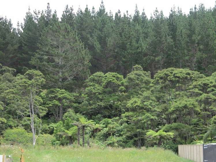 35 Crabb Fields Lane Riverhead_10