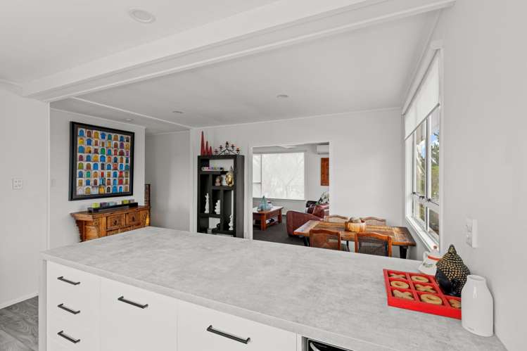 9 Meads Place Bulls_7