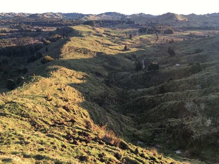 1427 Waitaanga Road Ohura_10