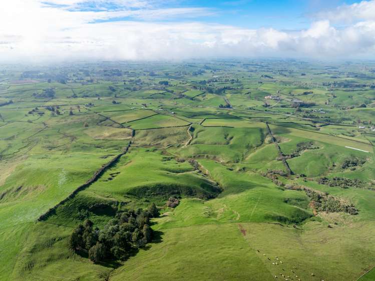 376 Starkey Road Morrinsville_27