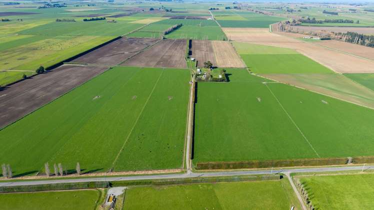 1467 Boundary Road Ashburton_31