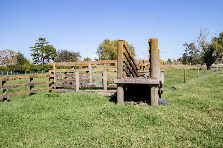 530 Hauraki Road Turua_18