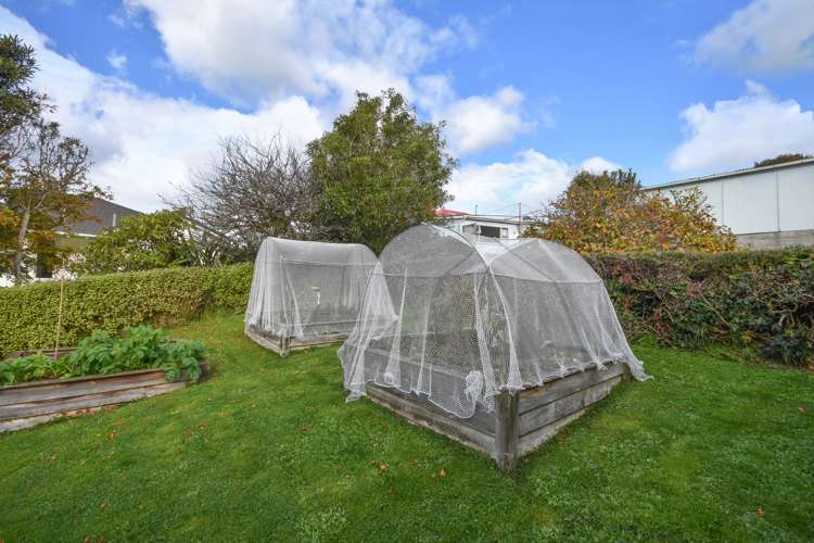 58 Harbour Terrace Careys Bay_11