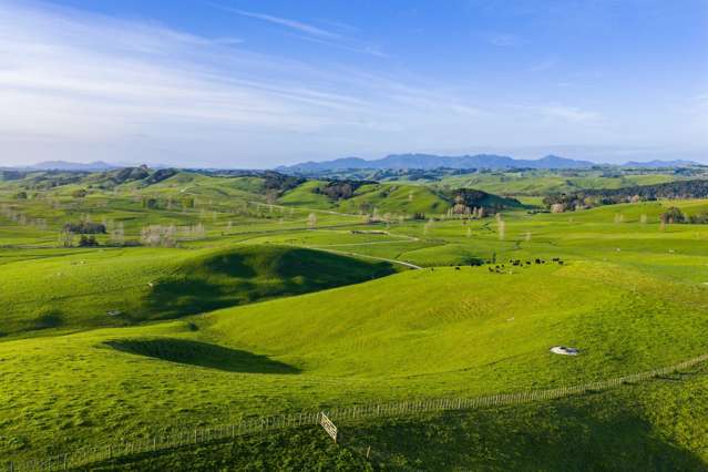 1108 Tokatoka Road Ruawai_3