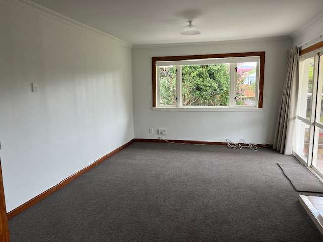 86A Cameron Road Te Puke_2