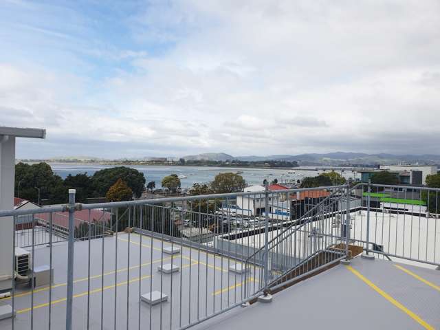 30C Willow Street Tauranga Central_3