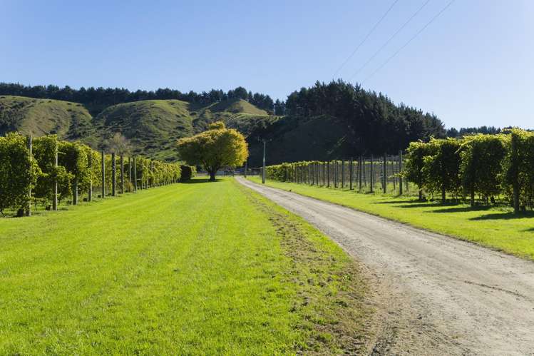 139 Taurau Valley Road Manutuke_24