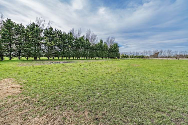 494 Lake Road South Leeston_26