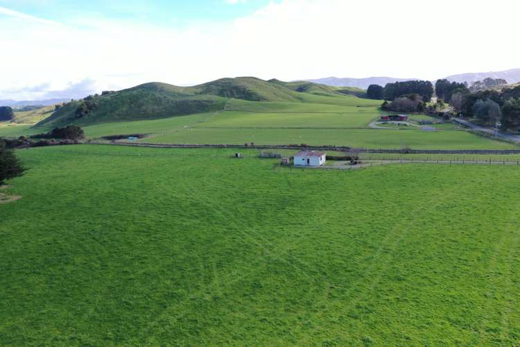 346 Mangamaire Road Pahiatua_9