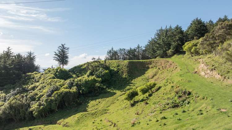 14 Hillplough Heights Richmond_24