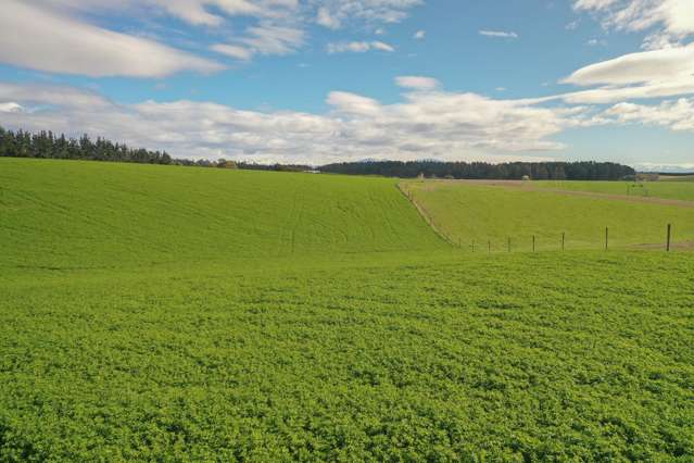 140 King Road Rosewill_4