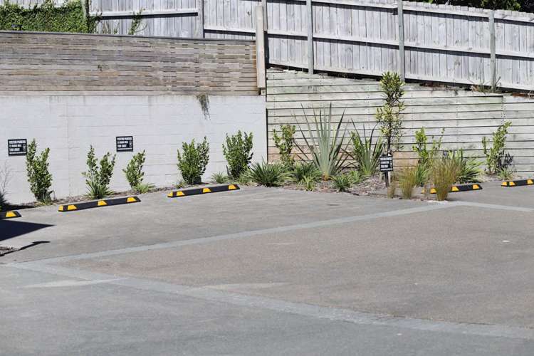 54 Tamora Lane Avondale_18