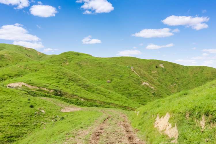 Thompsons Road Pahiatua_17