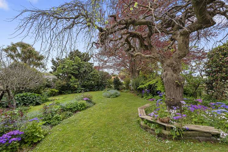 428 Thames Street Morrinsville_19