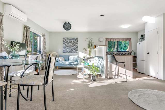 409a Maungatapu Road Maungatapu_2