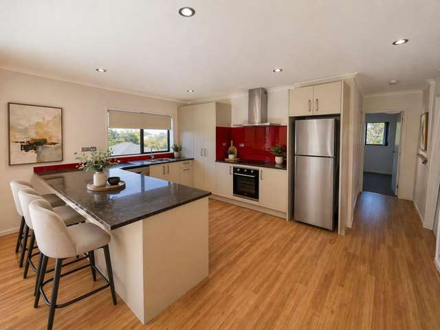 19 Farnol Street Hillsborough_1