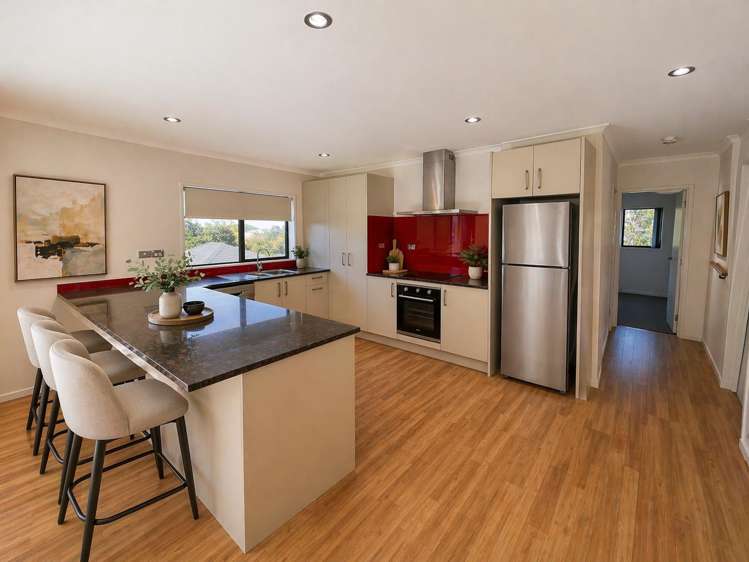 19 Farnol Street Hillsborough_1