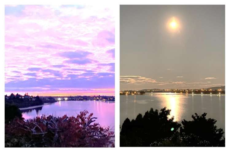 49 Baycroft Avenue Parkvale_10