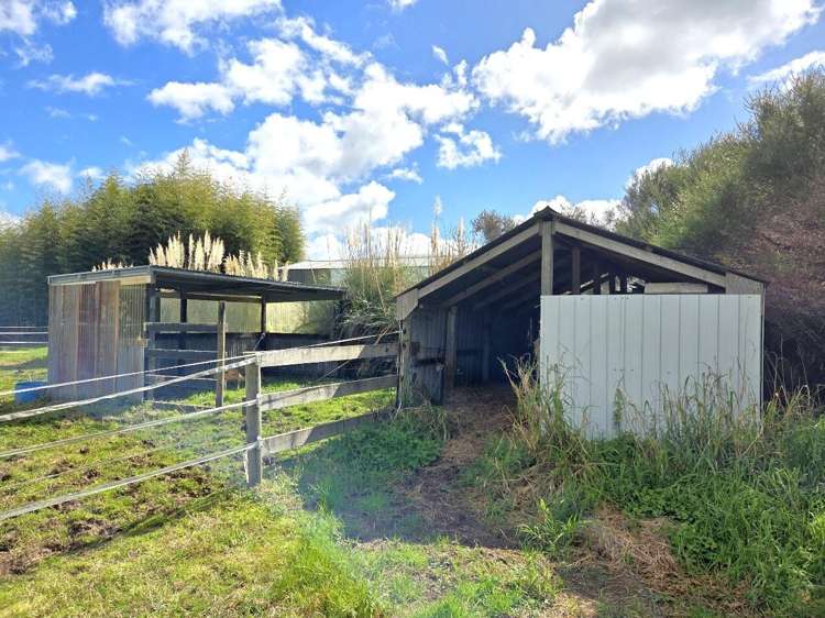 540 SH25 Te Rerenga-Kuaotunu Hwy Otapaurau_18