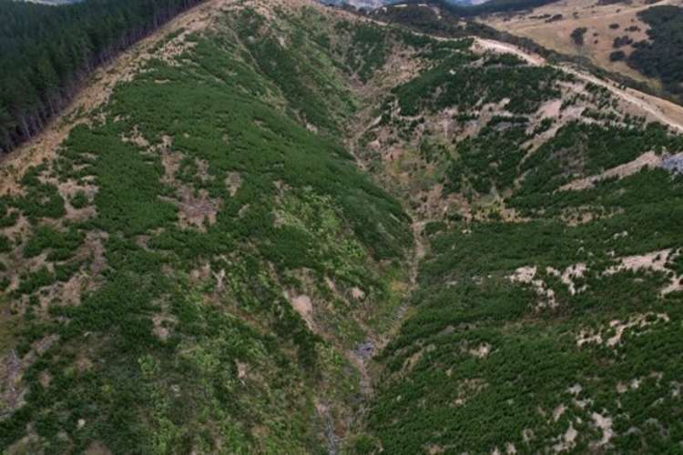 3525 Masterton Castlepoint Road Mangapakeha_1