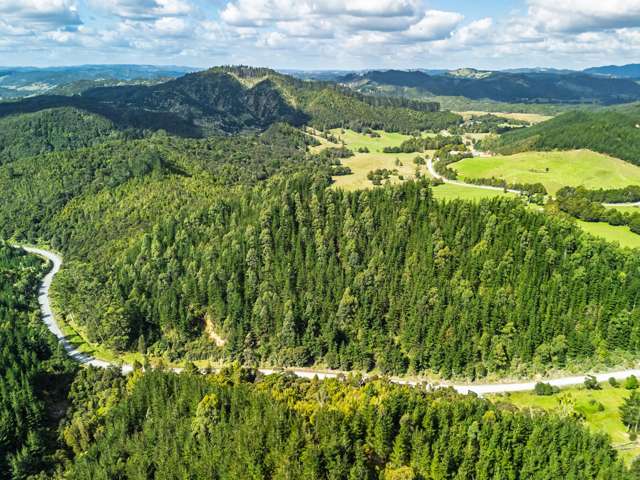 Mid north forestry investment