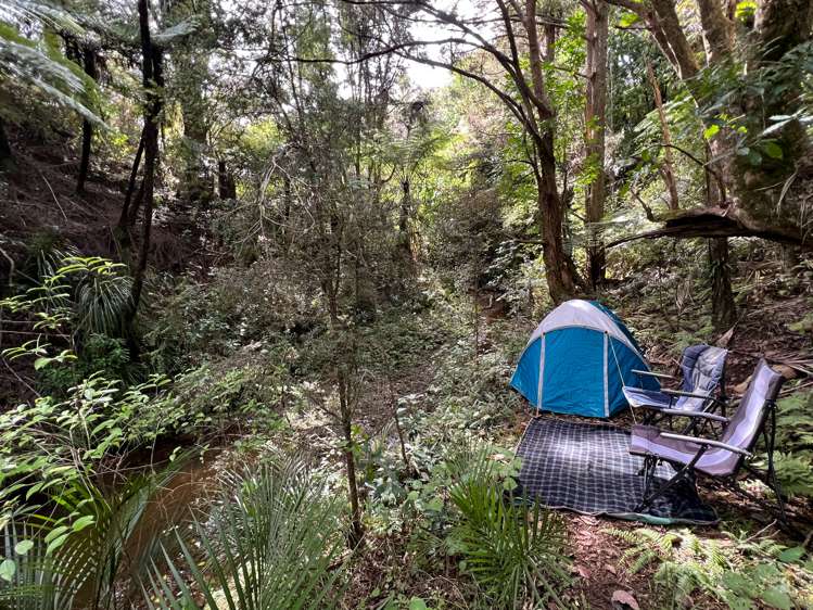 974 Cove Road Waipu_19