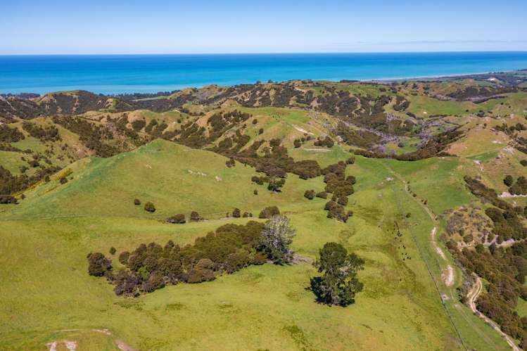 600 Hundalee Road Kaikoura_2