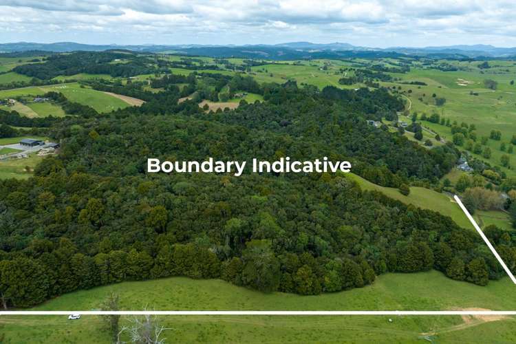 229 Hupara Road Pakaraka_7