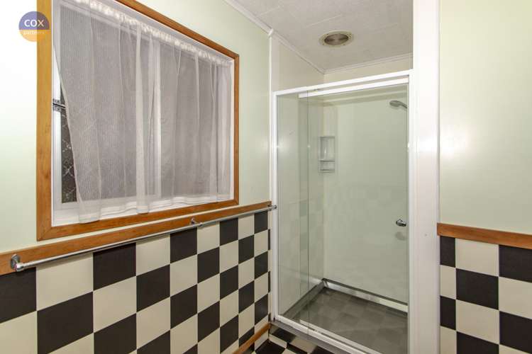 6 Bristol Street Tamatea_5