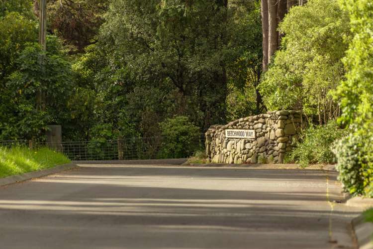 12 Beechwood Way Te Marua_19