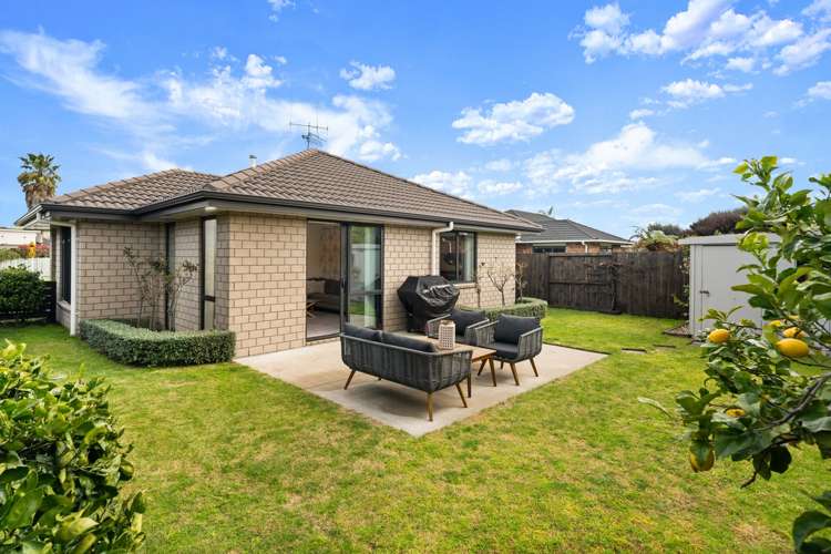 61 Twin Oak Avenue Papamoa_9