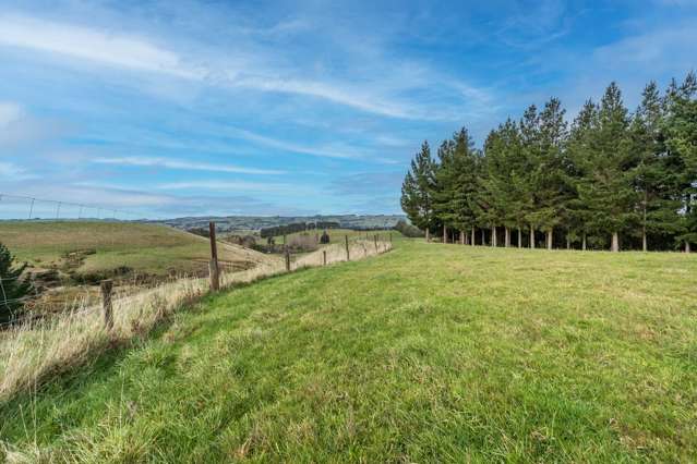 22 Paterson Road Waimumu_4
